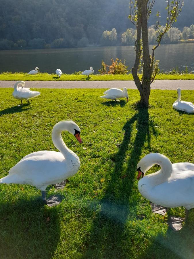 Ferienwohnungen Am Moselbeach Меринг Экстерьер фото